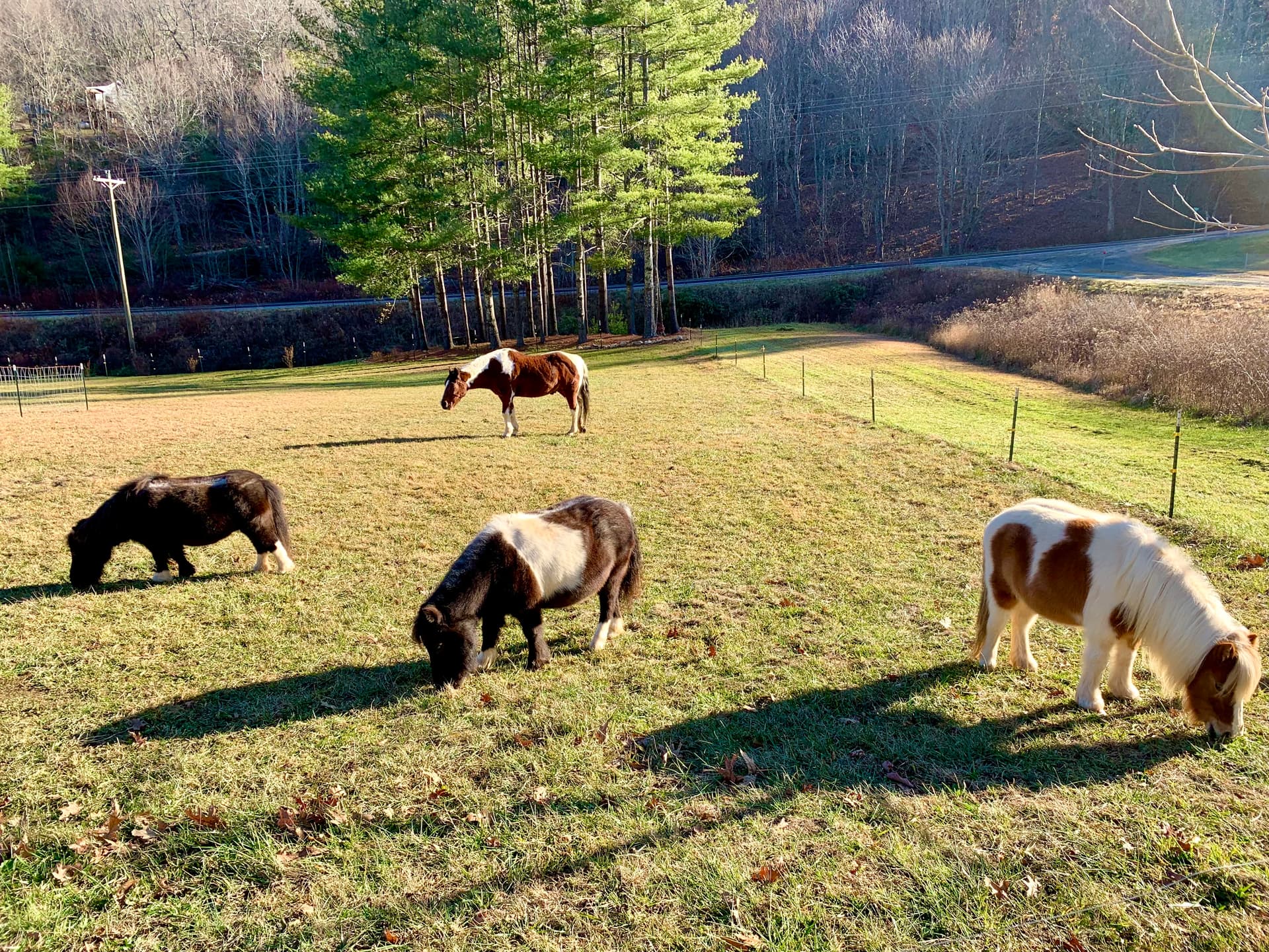 Mountain view from the ranch